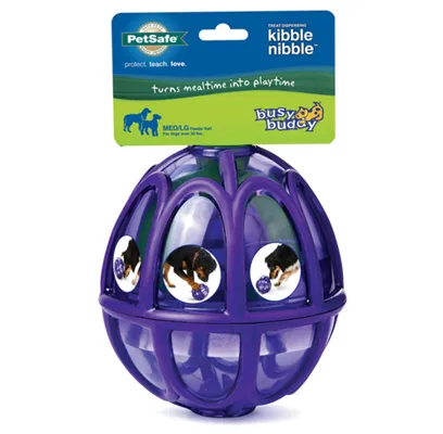 Busy Buddy Kibble Nibble Feeder Ball