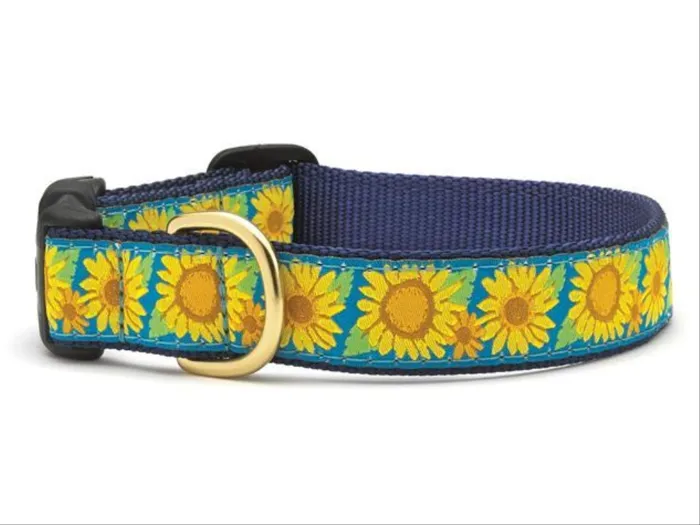 Up Country Collar Bright Sunflower Narrow Small