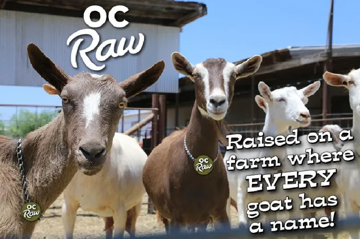 32oz Oc Raw Goats Milk