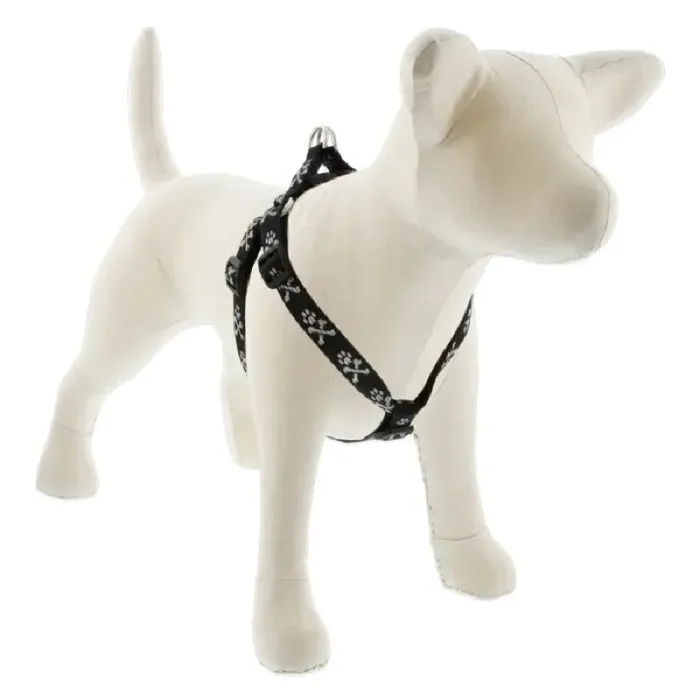 Lupine 3/4" Step In Harness 15-21" Bling Bonz