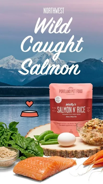 Portland Pet Food Company Wally's Salmon N' Rice Meal Wet Dog Food 9-oz