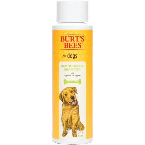 Burts Bees Deodorzng Shamp 16z