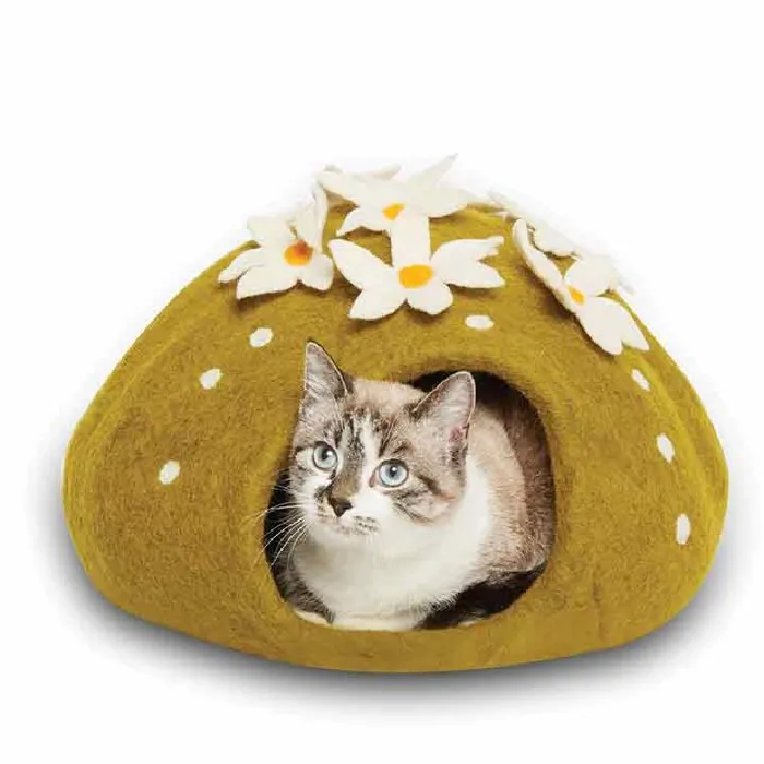 Dharma Dog Karma Cat Cave Cactus