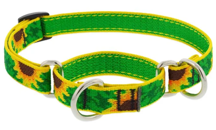 Lupine 3/4" Sunflowers 14-20" Martingale
