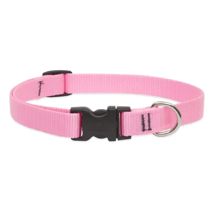 Lupine Dog Collar - Solids Pink "9-14 X 3/4"