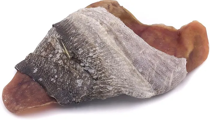 Icelandic+ cod skin wrapped pig ear held for scale