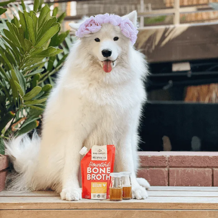 Stella & Chewy's Chicken Bone Broth 16oz