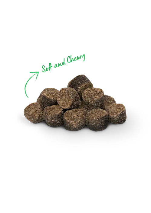 Open Farm Dog Treat Be Good Bites Grass Fed Beef 6oz