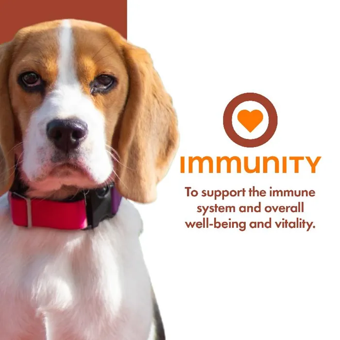 Fromm Nutritionals Immunity Pate 13oz