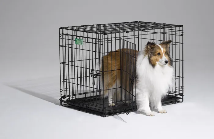 Pet Home Icrate Double Door 30"