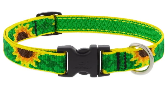 Lupine 3/4" Adj. Collar Sunflowers 15-25"