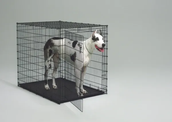 Starter Series Training Crate 54"x37"x45" Black