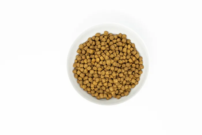 Stella & Chewy's Raw Blend WG Beef 3.5#