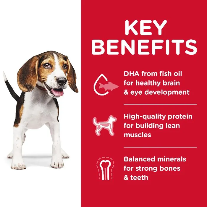 Science Diet Puppy Chicken 15.5#